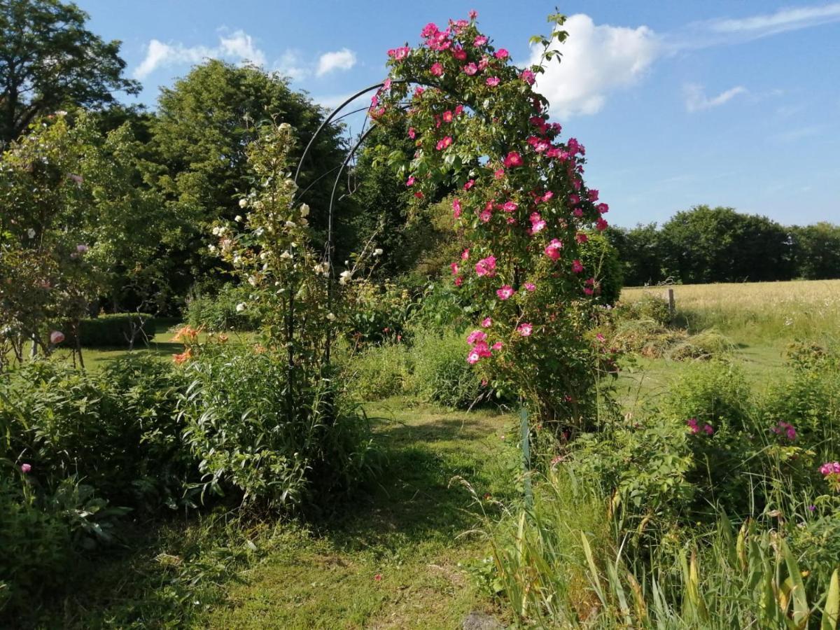 Bed and Breakfast Les Berges de la Planchette à Yvignac-la-Tour Extérieur photo